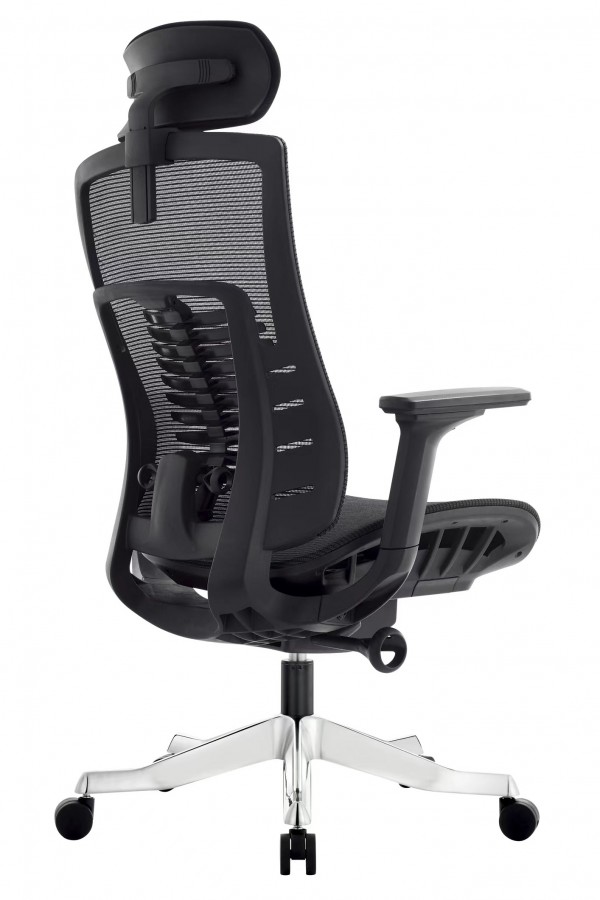 Ghế lưới lãnh đạo PTV827